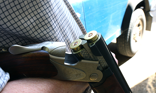 Shotgun Cartridges