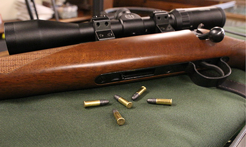 Rimfire Rifles