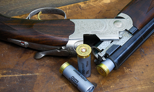 Shotguns