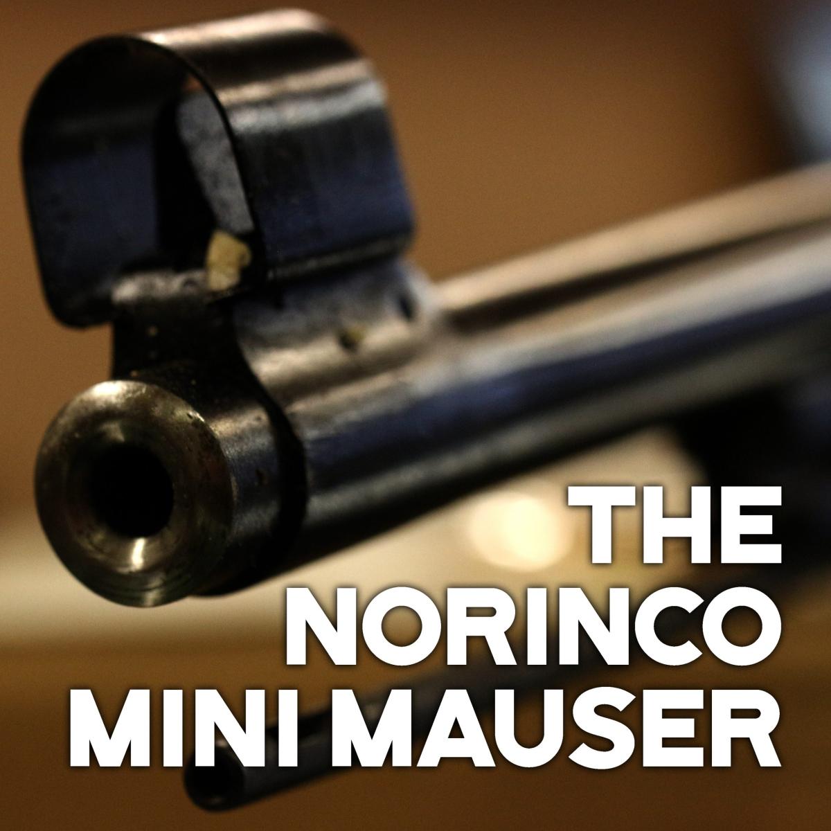 Miniature Slice Of History: Norinco The Mini Mauser