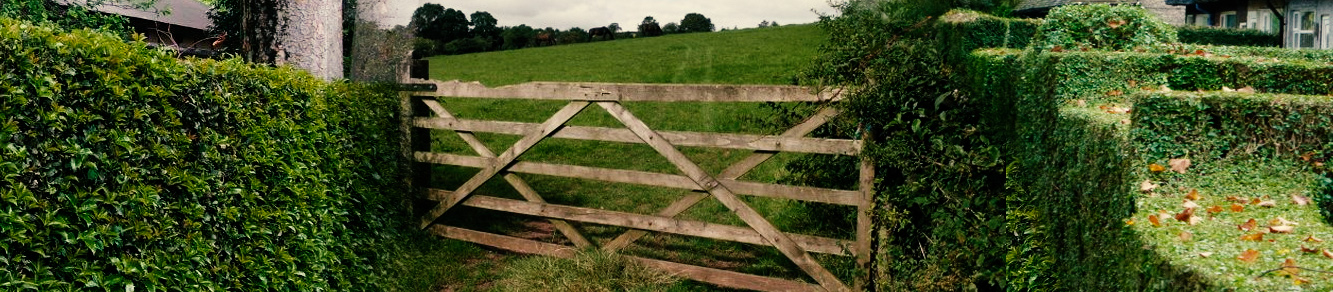 Fenced Gate